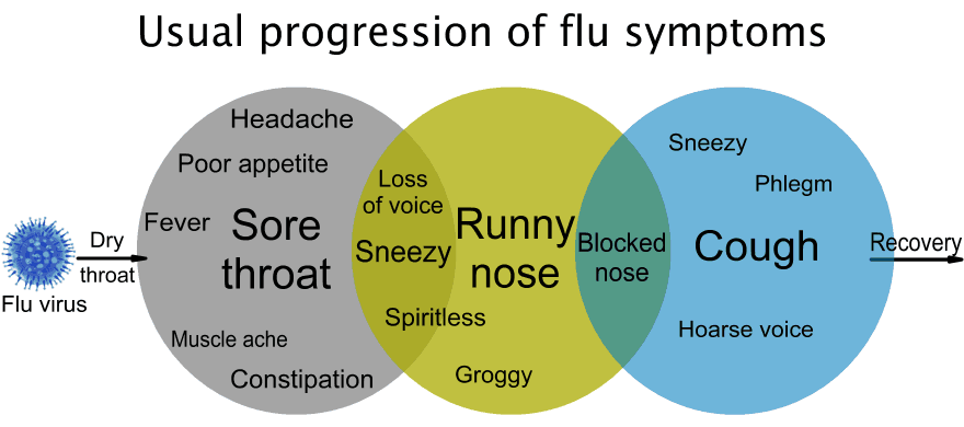 Usual flow of flu symptoms