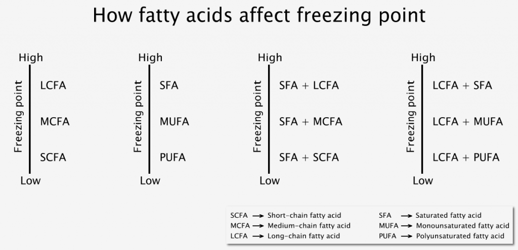 How fatty acids affect freezing point