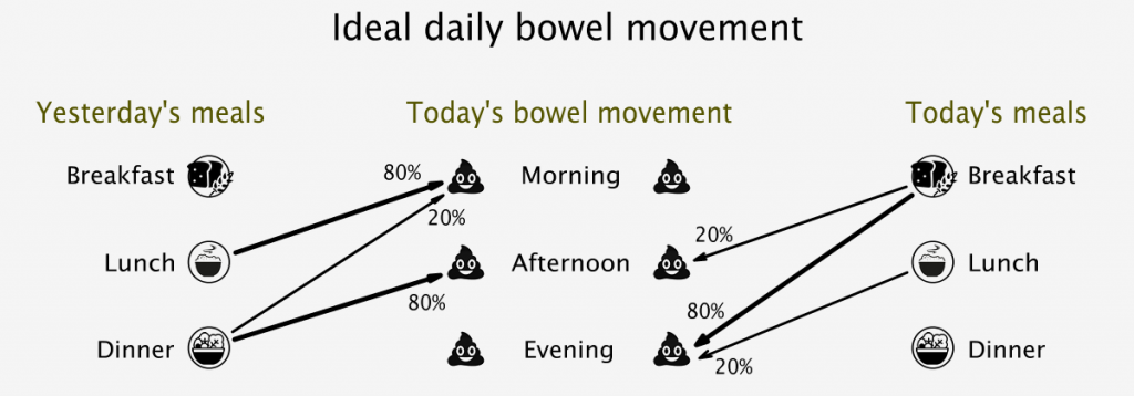 Ideal daily bowel movement routine