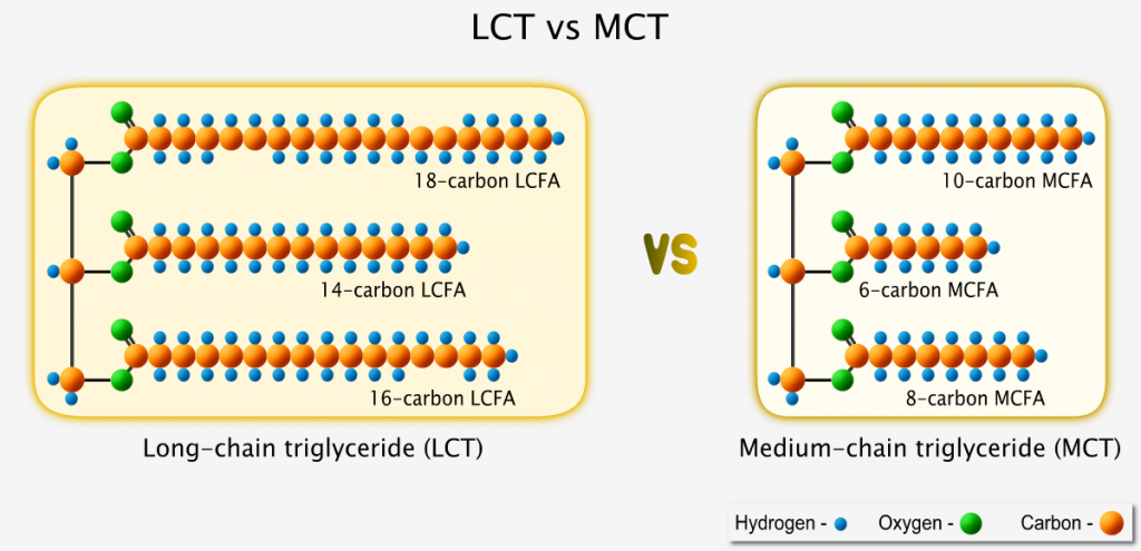 Size of long-chain triglyceride versus medium-chain triglyceride