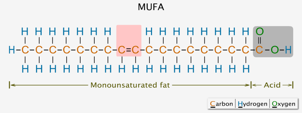 Monounsaturated fatty acid chemical structure