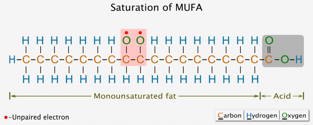 Saturation of monounsaturated fatty acid