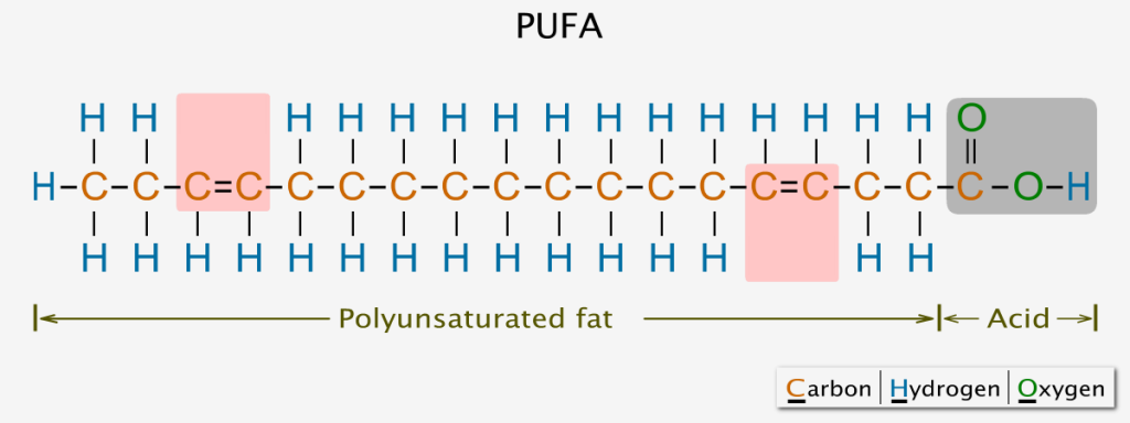 Polyunsaturated fatty acid chemical structure