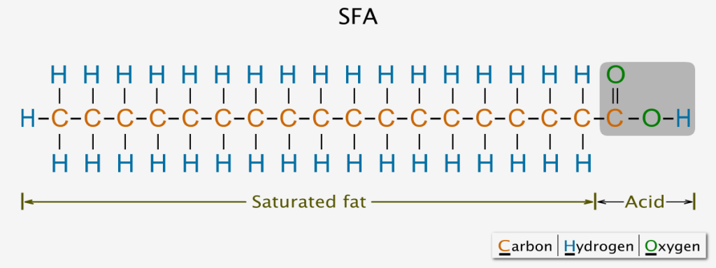 Saturated fatty acid chemical structure