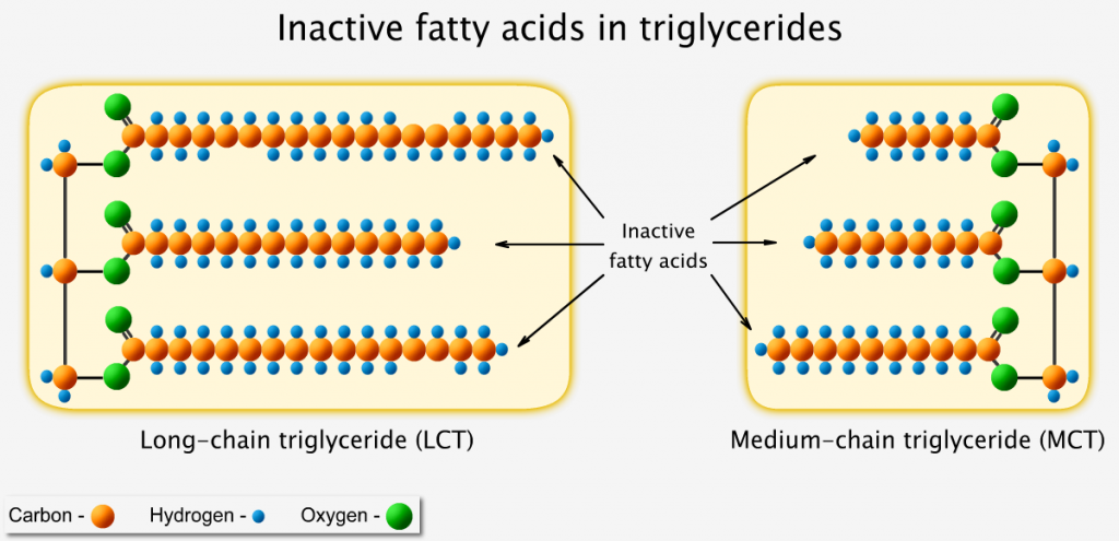 Inactive fatty acids in triglycerides