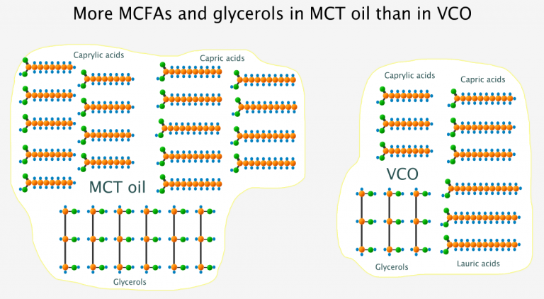 mct oil faqt cells