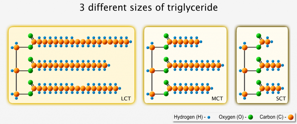 3 diverse dimensioni di trigliceridi